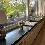 Hortensie *