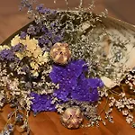 בית נופש Hortensie אאכן