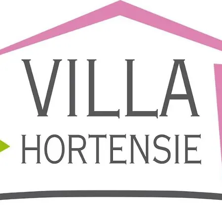 Hortensie Aachen