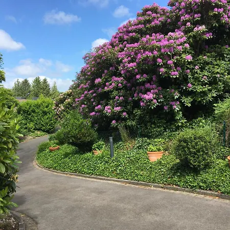 Holiday home Hortensie Aachen