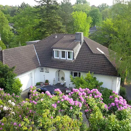 Hortensie Casa de Férias