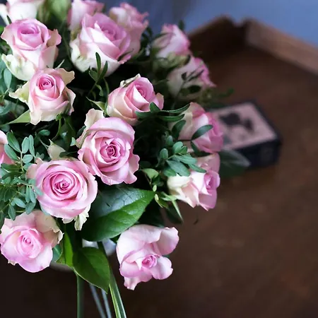 別荘 Hortensie アーヘン