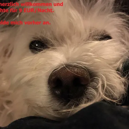 Ferienhaus Hortensie Aachen