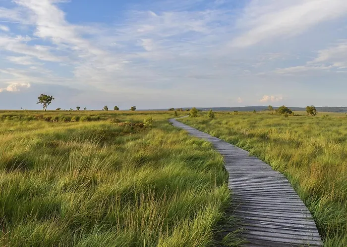 Сasa de vacaciones Hortensie