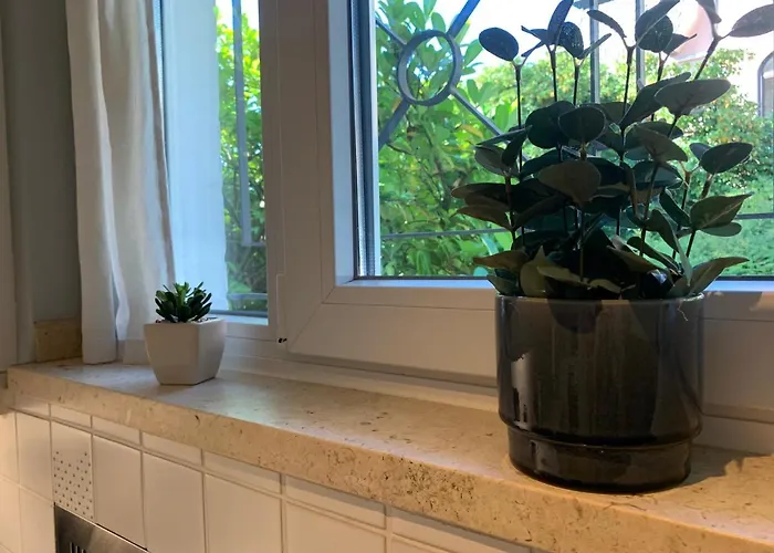 Hortensie Сasa de vacaciones