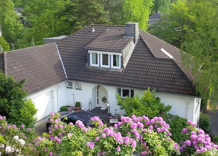 Hortensie Сasa de vacaciones