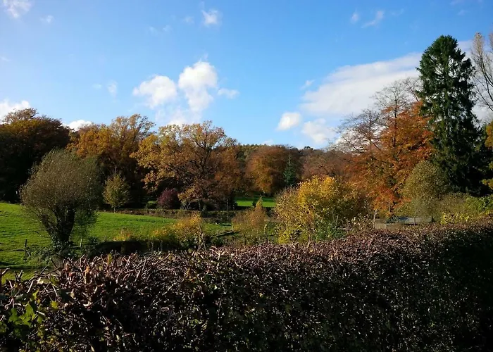 Nyaraló Hortensie Aachen