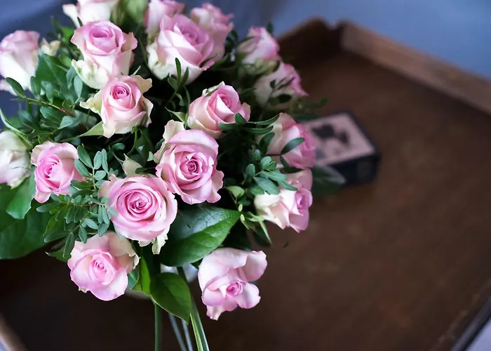 Сasa de vacaciones Hortensie Aquisgrán