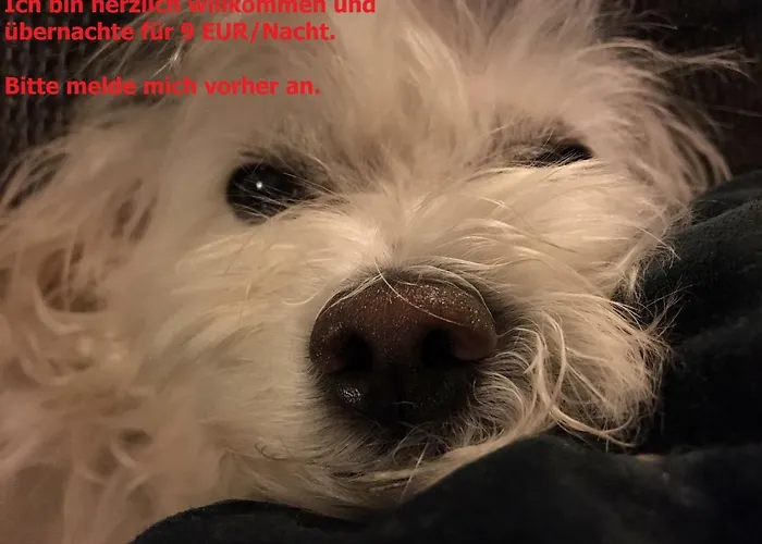 Сasa de vacaciones Hortensie Aquisgrán